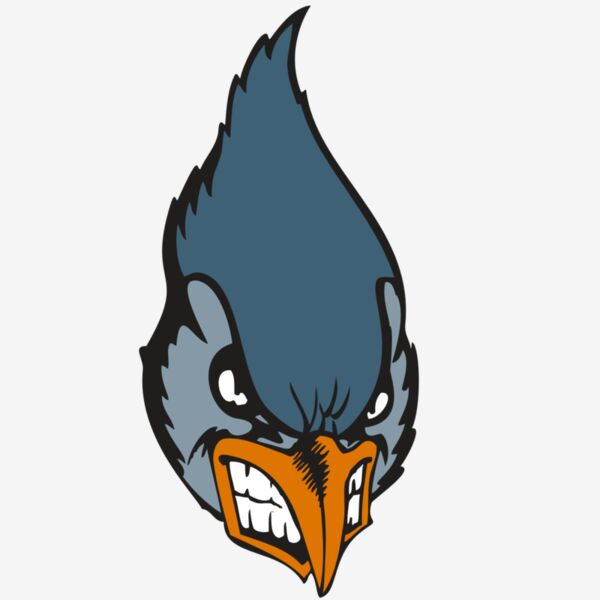 BAW BLUEJAY 01 RC Thumbnail