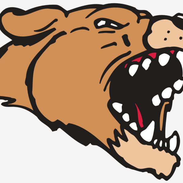 AR5 COUGAR 33 RQC Thumbnail